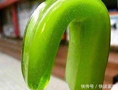 好吃|小时候最好吃的六种雪糕,图三再也买不到了,图六卖了1百年