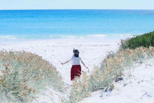  风景|塔斯马尼亚 | 世界尽头那颗绿色的心，是我念念不忘的风景