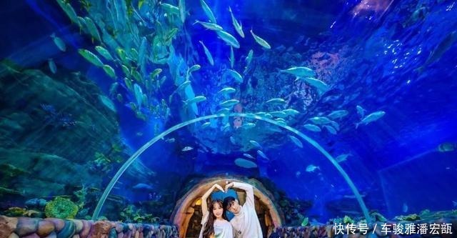 华夏文旅海|每年这一天,浪漫都溢出了海洋公园!