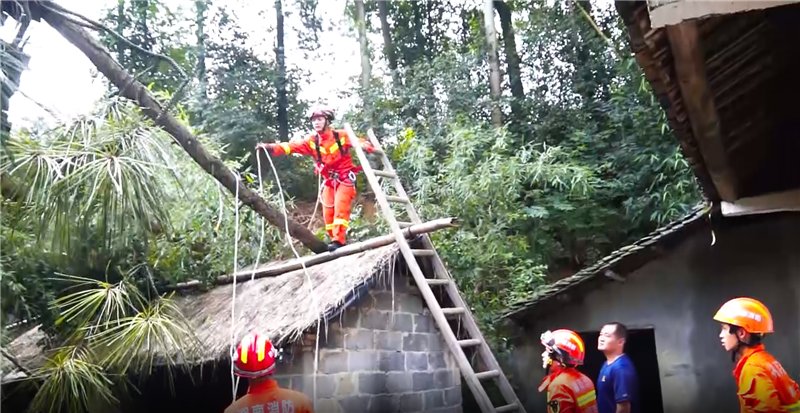  消防员|湘西降雨致树木翻根压倒房屋，被消防员切成30多块