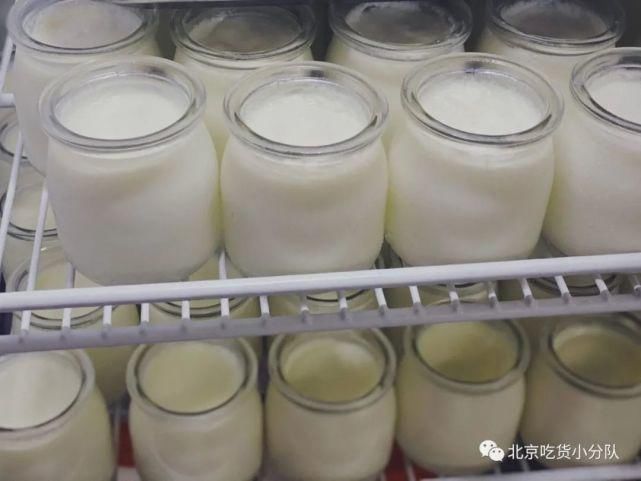  顺德|顺德，一个让人发胖的地方