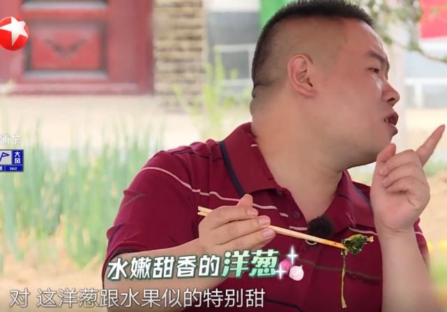  虞书欣|公益节目说农产品的缺点？《极限挑战》请虞书欣，真的是个错误！