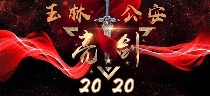  人民|破案566起，逮捕650人，查冻涉案资产3.92亿元——玉林公安向人民报告“亮剑2020·六打”战果