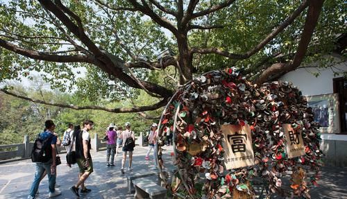  景区|浙江改名最成功的景区，一夜成名并列世界前三，旅游年收入200亿