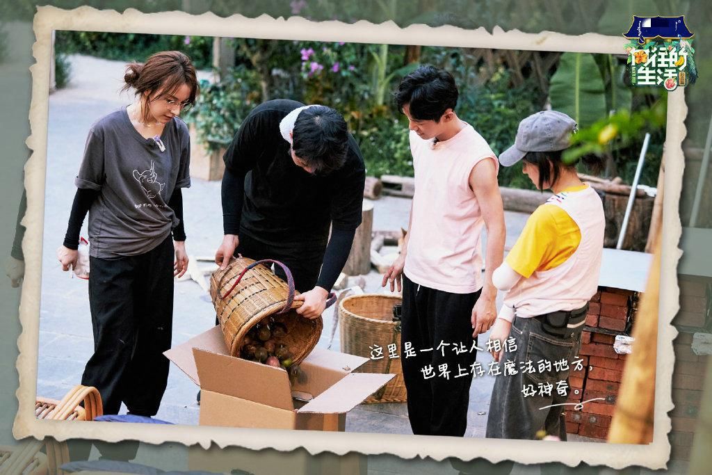  别人|继岳云鹏后，《向往的生活》又现大牌嘉宾，别人干活她却躺在床上