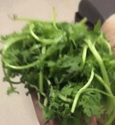  人生|搞笑GIF：孩子或许这是你人生的巅峰，你要懂的珍惜