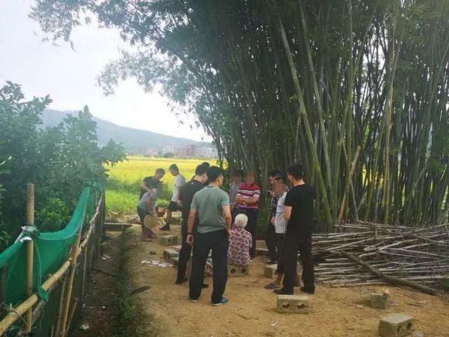 竹根|丑冇！平南大新多名男女竹根干这事，12人被抓了！