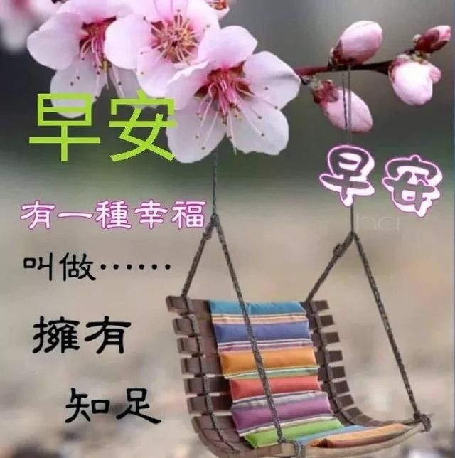 回忆|再香的茶，不能隔夜，隔夜则坏；再美的回忆，也别经年，经年必累