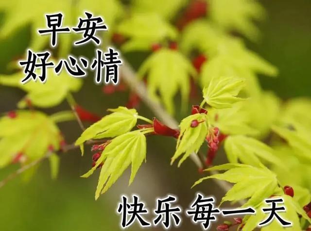 镜子|清晨到,对着镜子照,照一照,笑一笑,所有烦恼都跑掉,早安