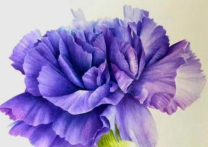 岁月|淡看花开花落，细品时光静好，尽享岁月安然