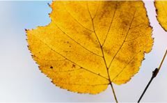  七夕|一秒“穿越”，栖霞山的七夕写满了浪漫