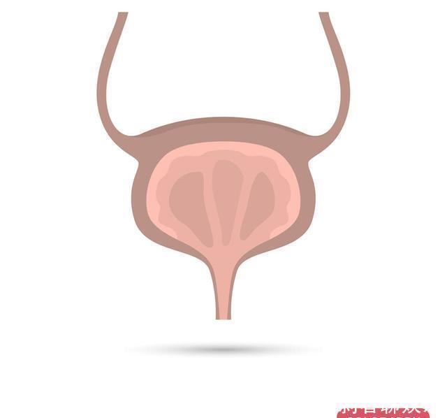 重吸收|有人喝啤酒很快要上厕所,有人喝几瓶都没尿意,哪种人身体更好