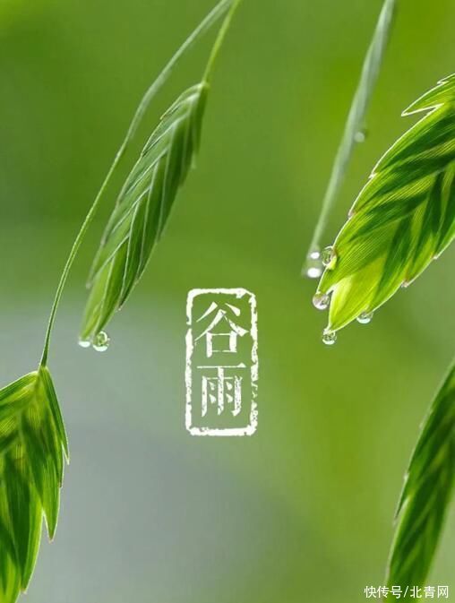谷雨节气一定要注意清湿热！这3粥3汤让人越吃越舒服，记下来！2023