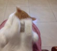 稀里哗啦|在你感动得稀里哗啦时，人家已经把钱挣了