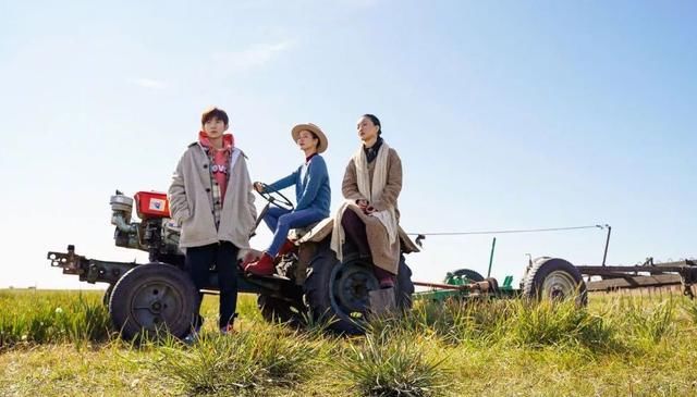  规矩|周迅踢铁板？毛不易不真实？治愈系综艺真没这么多规矩