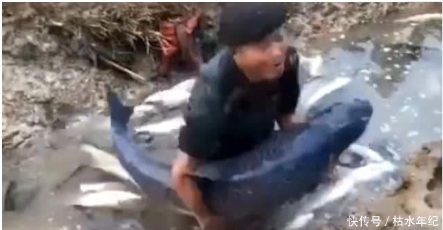 大开眼界|农村池塘传来怪叫,大胆村民捉住后,大开眼界