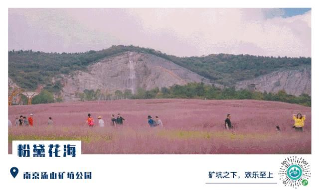 溧水|溧水城管小姐姐又又又来了！这次竟然帮忙找厕所？