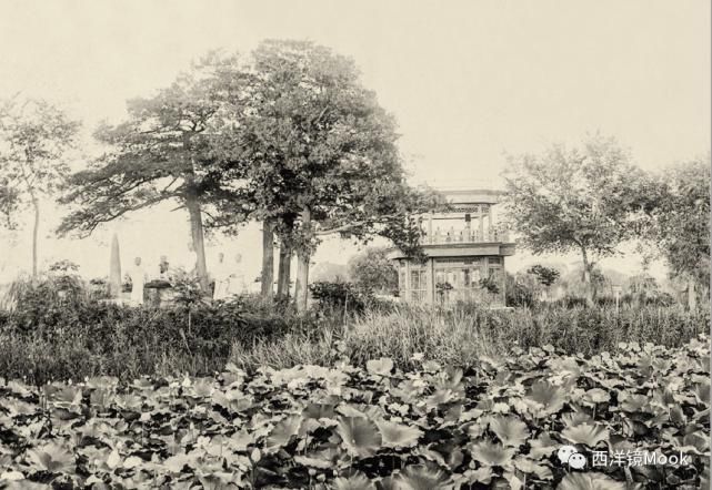  院子|111年前的北京动物园旧影