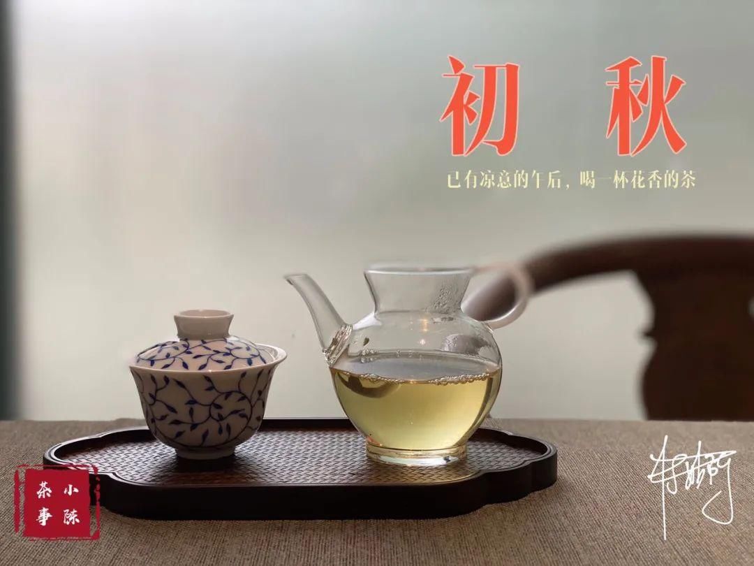 常提|喝岩茶、普洱茶、白茶时，有些老茶友口中常提的茶气，它是什么？