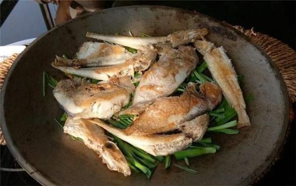 名叫|在潮汕有一种海鱼,土名叫鸡腿鱼,做好以后汤腥肉鲜,只能吃鱼肉