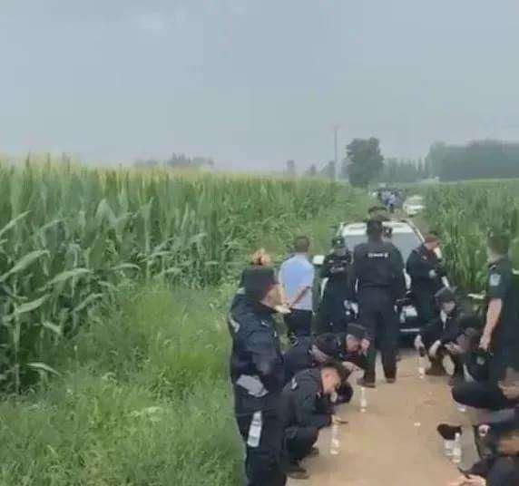  公安机关|穷凶极恶！嫌疑犯拿了百万赎金后将12岁女孩杀害潜逃，目前已被抓获