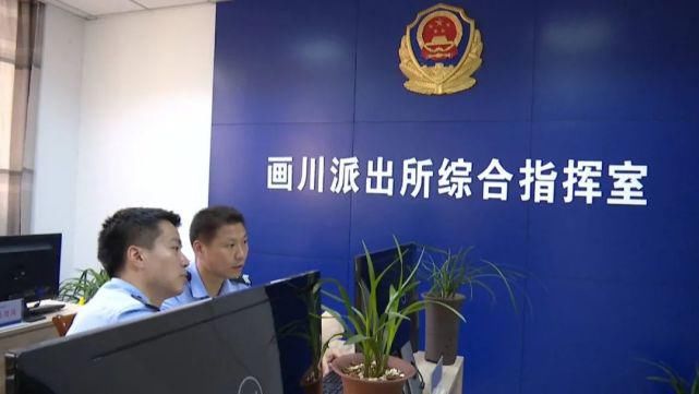 宝应|宝应偷猪“内鬼”现形记