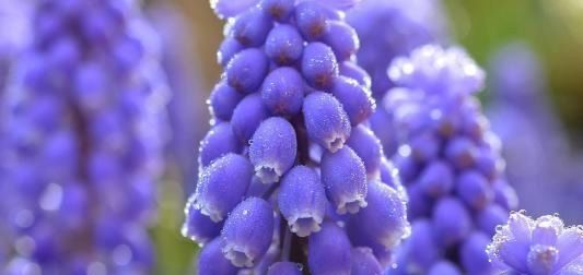  星座|没人理解，也不想表达，镇定从容的星座，哪怕再艰苦，也能熬过去