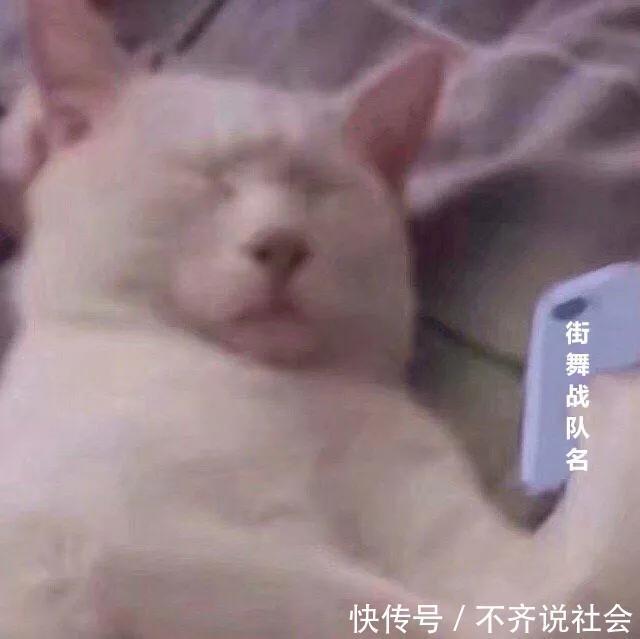 兴不|《这街3》取名界泥石流,张艺兴霸气玩梗“兴不发音”