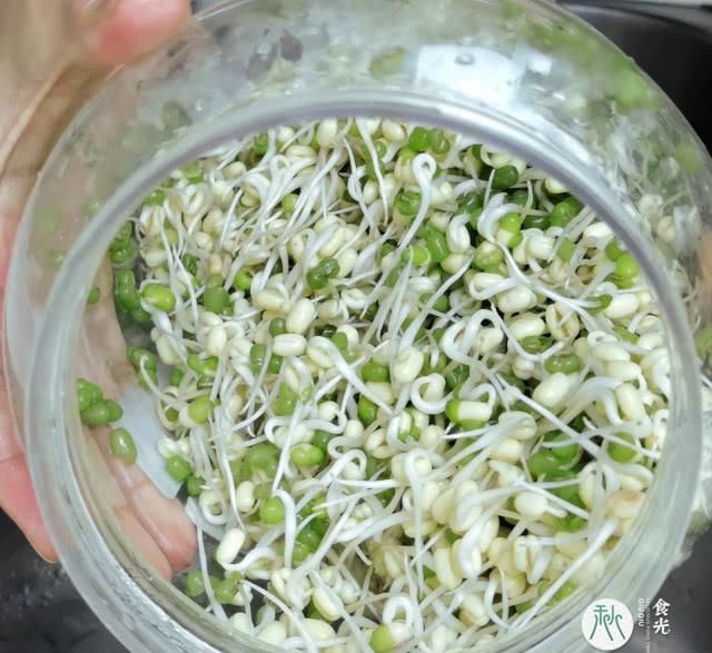放心|喜欢吃绿豆芽的快来看看,3把绿豆5天生出1大桶,安全健康放心吃