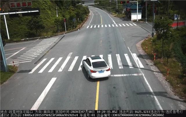 驾驶机动车违反道路|泰顺这些车主被曝光！