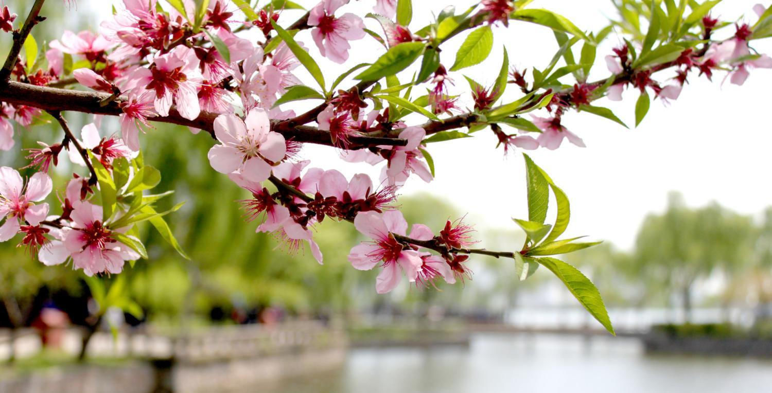 事业|7月份,升官发财的四个生肖,泰来否往,事业如鱼得水