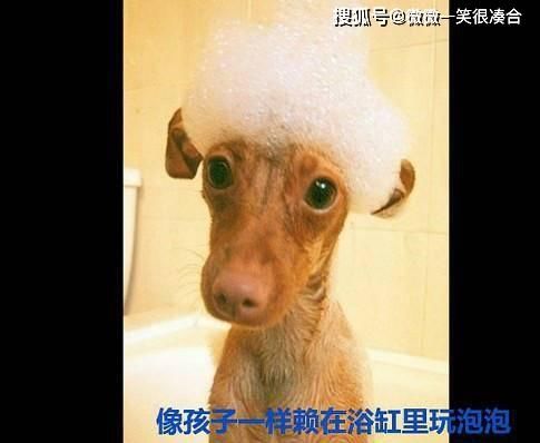 记得|还记得昨晚你带回的朋友吗