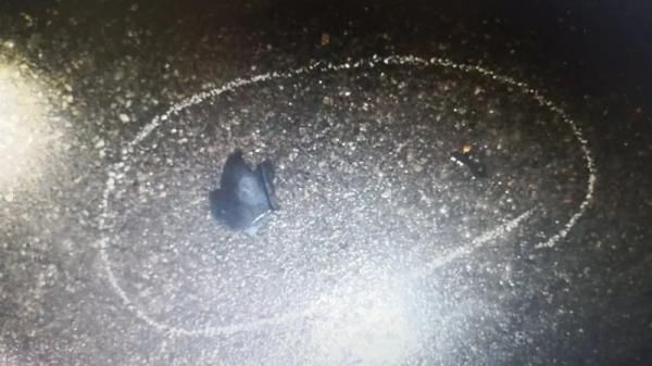  小型普通客|环县公安交警成功侦破一起致人死亡交通肇事逃逸案