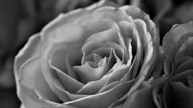 短语|值得品读的人生感悟短语，句句引人深思，值得品读