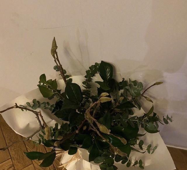  得奖|孙俪错失白玉兰奖，等等哭着夸妈妈最棒，邓超送白玉兰花很用心