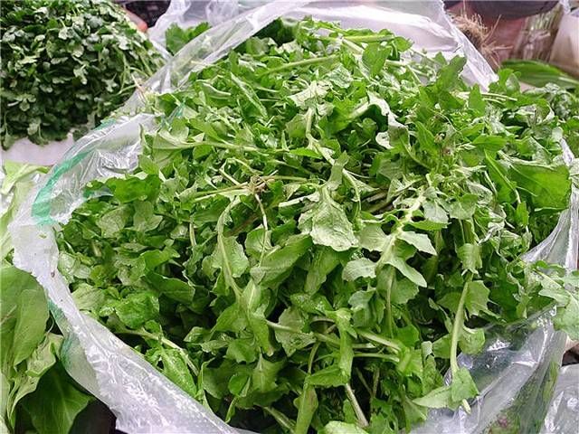 戒掉|野菜中的报春菜,气味迷人容易辨别特鲜,吃过的人都难“戒掉”!