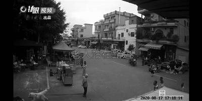  犬主人|老人被狗绳拽倒重伤身亡 犬主应该承担什么责任？