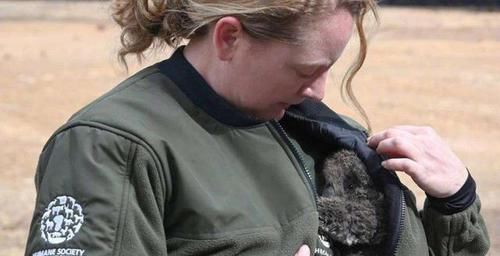  从此|女子在大火中救出考拉，不料从此就被黏上了，镜头记录暖心画面