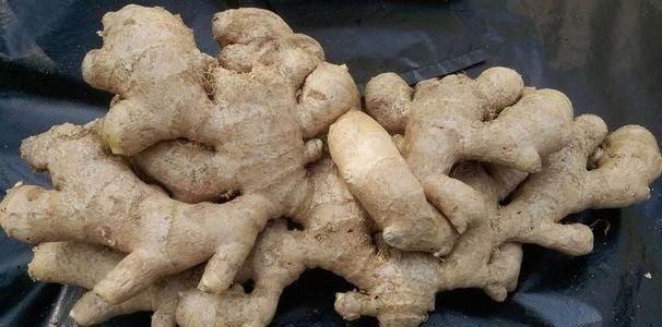  体内|女性经期走后，用生姜涂抹一处，排出体内毒素，手脚也不凉了