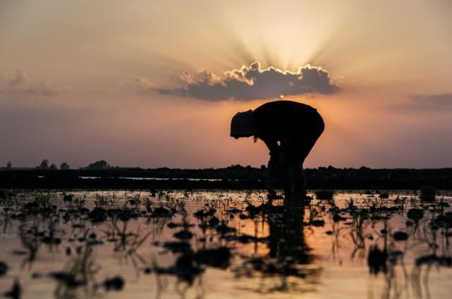  这位|七年了，多少人还在令这位九旬老人心寒