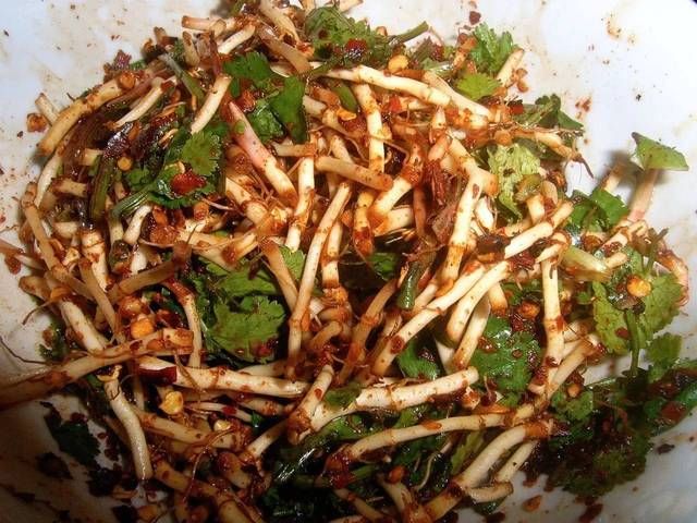 鱼腥草|哪些蔬菜是多数人吃不惯的?尤其这四种,敢吃两种以上的佩服你!