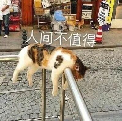  朋友圈|可爱的沙雕朋友圈文案150.0