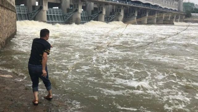  落入|「现场」一少年落入颍河闸湍急的水中！还有这些场景让人担忧