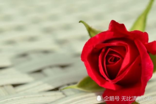 上旬|十月上旬开始，运势如虹，好运追着跑，事业顺风顺水的生肖