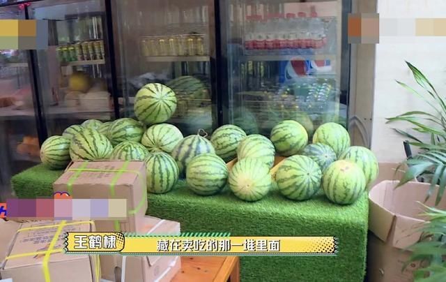  满满的|《元气满满的哥哥》把捉迷藏玩到极致，王鹤棣伪装成西瓜堆的西瓜