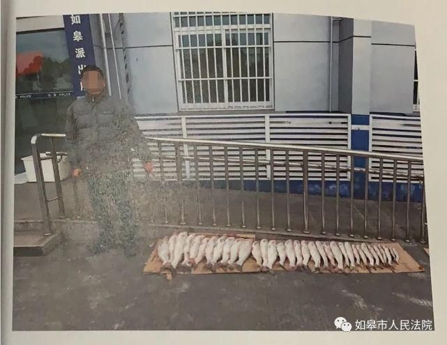 渔业|@南通人 有奖举报,最高奖2万!