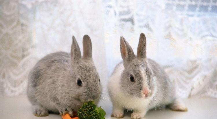 滚滚|生肖兔、生肖牛、生肖马,财神爷点大名7天内财运滚滚而至