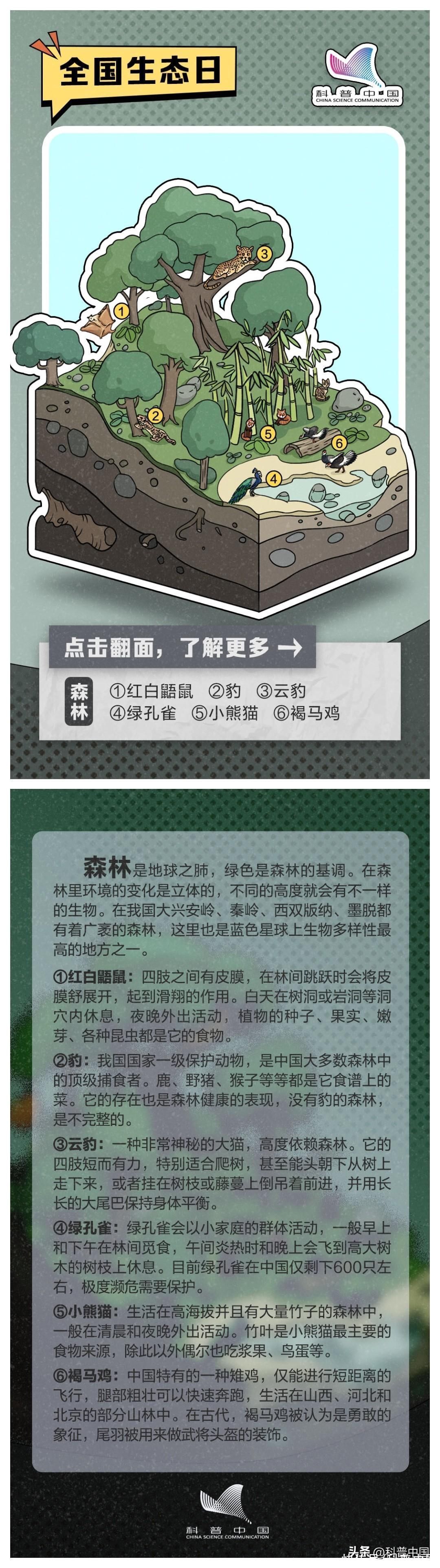 地球上最值得去的 8 个地方，你去过几个？2023