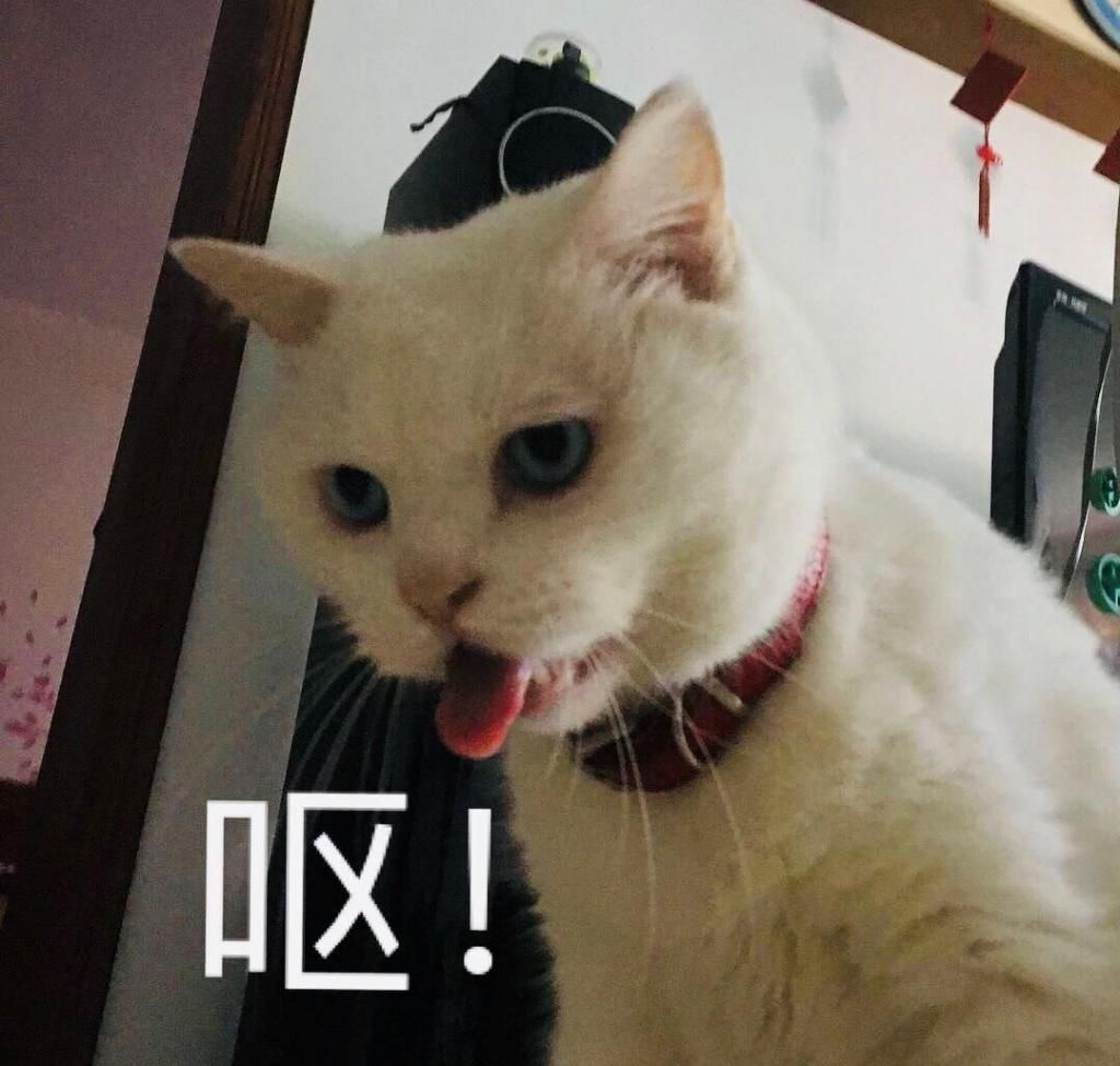  缅甸|又有两人吃菌中毒死亡！两个月内，缅甸掸邦已有四人死亡