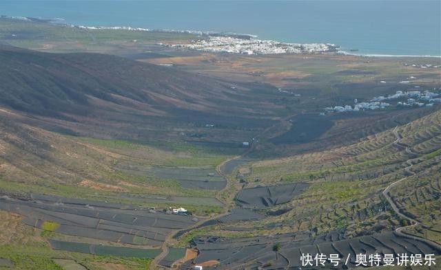 种在|西班牙的兰萨罗特岛,为什么葡萄都种在由半圈石环围成的圆坑中?